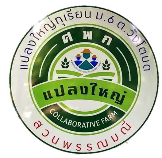 messageImage_1770363662764